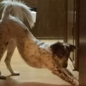 Meet your Posher, Brooke